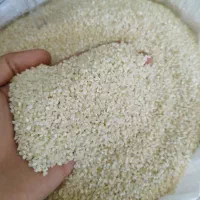 برنج سرلاشه و لاشه هاشمی و نیمدانه ممان میانه عطری|خوردنی و آشامیدنی|زنجان, |دیوار