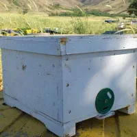 کندوچه kbk آلمانی