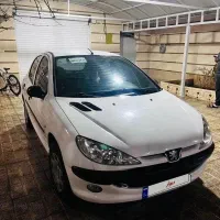 ۲۰۶  کم کار  بی رنگ