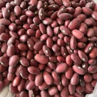 لوبیا قرمز درجه یک اعلا|عمده‌فروشی|سمیرم, |دیوار