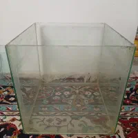 اکواریم