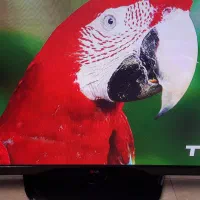 LG PLASMA 42ً|تلویزیون و پروژکتور|خوی, |دیوار