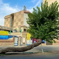 حرس درخت وقطع درخت حمل ونقل