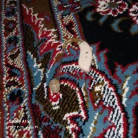 سمعک سیلویا سی تمیز خوب|آرایشی، بهداشتی، درمانی|ملایر, |دیوار