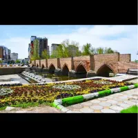 مغازه در یحیوی