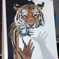 تابلو نقاشی 50*70|تابلو، نقاشی، عکس|بندرعباس, |دیوار