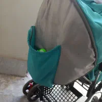 کالسکه بچه سالم