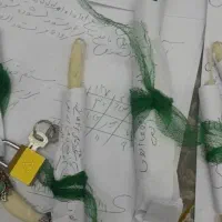 فالگیرباتجربه