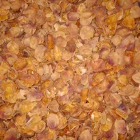 فروش برگ زردآلو