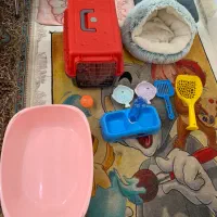 وسایل گربه