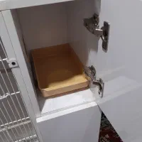 قفس عروس|حیوانات مزرعه|آشتیان, |دیوار