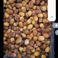 فروشی دوستان هرکس خواست زنگ بزنه|خوردنی و آشامیدنی|تربتحیدریه, پایانه مسافربری تربت حیدریه|دیوار