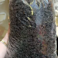 چای قلم بهاره درجه یک