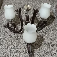 دو عدد لوستر