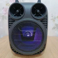 اسپیکر|پخشکننده همراه|رباطکریم, رباطکریم|دیوار