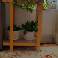 پایه گل