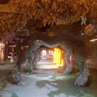 باغ تالار مجلل قصر مریم خادم آبادتخفیف ۳۰ درصدی|خدمات پذیرایی، مراسم|اندیشه, اندیشه فاز ۱|دیوار