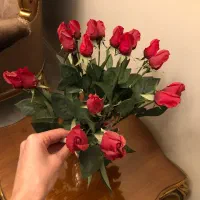 گل های غنچه رز قرمز رنگ