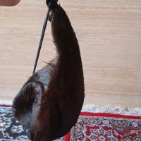 فروش هیزه