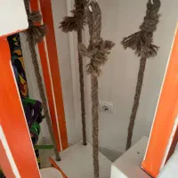 پارک گربه