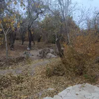 باغ-فروشی-بهمن