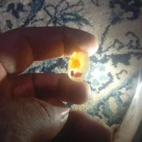 سنگ قیمتی|کلکسیون اشیاء عتیقه|کرمان, |دیوار