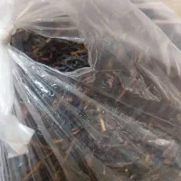 چای ایرانی گیلان