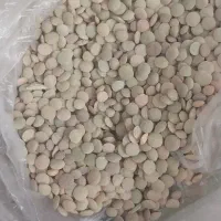 عدس