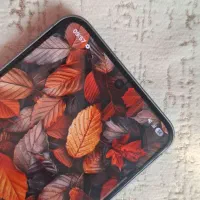 سامسونگ A56 256 بدون خط / ۱۳ ماه گارانتی|موبایل|مشهد, الهیه|دیوار