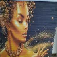 پرده زبرا پلیسه