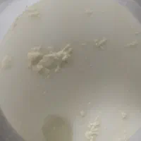 دوغ گاوی تلمی