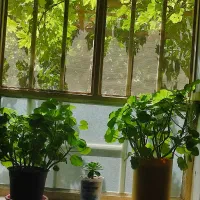 بلوار۱۷شهریور پشت شرکت گاز