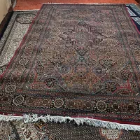فرش ماشینی|فرش|زاهدان, |دیوار