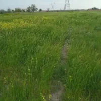 زمین-کشاورزی