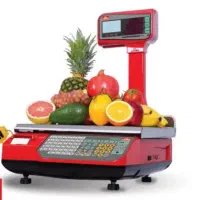 ترازو محک و پیام توزین و توزین صدر شارژی ایستاده