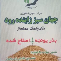 بذر یونجه اصلاح شده|خدمات باغبانی و درختکاری|اصفهان, فرودگاه|دیوار