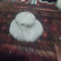 سنگ های قیمتی