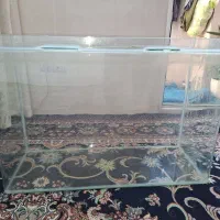 اکواریوم سالم