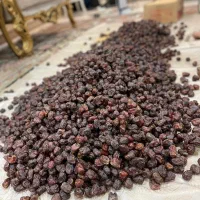 خرما آلوچه ای|خوردنی و آشامیدنی|تهران, خزانه|دیوار