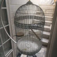 دو تا قفس در حد