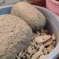 بستر تزیینی