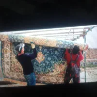 قالیشویی ومبلشویی امیرحسین تضمینی درکلیه مناطق کرج