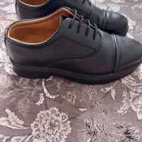 کفش|کیف، کفش، کمربند|فردیس, نگارستان|دیوار