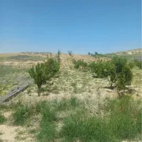 زمین-باغشهری-منطقه-ییلاقی-کودیان-قرهچمن