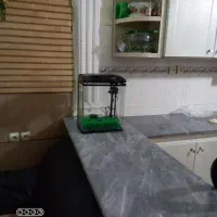 اکواریوم|ماهی|آبادان, |دیوار