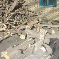 خریدار چوب باغی|خدمات باغبانی و درختکاری|بیرجند, |دیوار