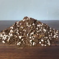 خاک برگ   خرید از تولید کننده