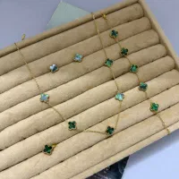 بدلیجات رنگ ثابت|بدلیجات|ارومیه, |دیوار