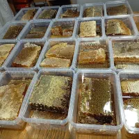 عسل کوهستان|خوردنی و آشامیدنی|کلیبر, |دیوار