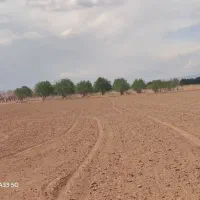 زمینی خاص با سند عرصه و عیان